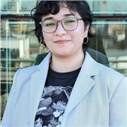 Aprende Adobe Illustrator, Photoshop y Premier desde la base